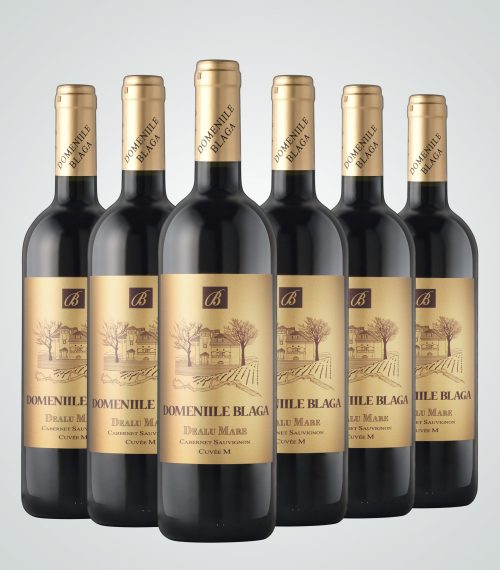 Cabernet Sauvignon Sec