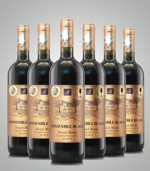 Domeniile Blaga Cabernet Sauvignon Cuvee X 2011 Sec Vin de calitate superioara Cumpara vin online Dealu Mare