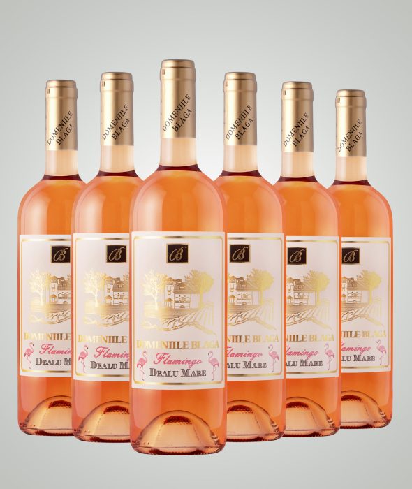 Cabernet Franc Rose