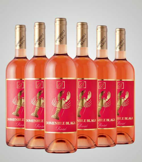 Vin Rose Sec Cabernet Sauvignon 2024